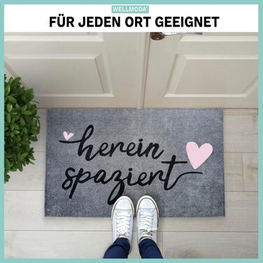 Килимок для дверей Ласкаво просимо Можна прати в пральній машині та нековзний Килимок для дверей для приміщень та вулиці Килимок для дверей та прикраса для дверей, 40x60 см та сірий 40 x 60 см (прямокутний) Ласкаво просимо