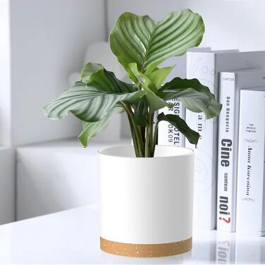 Набір з 5 квіткових горщиків з блюдцями, 17,8/15,2/14/12,7/10,2 см, пластикові кашпо, гідропонні горщики, набір квіткових горщиків, ідеально підходить для кімнатних та балконних садів, білий з коричневим підносом 765,554 дюймів (5 шт.) білий, коричневий п