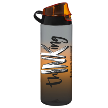 Пляшка для води Herevin Thinking dark 0.75 л (161506-094) (7053584)