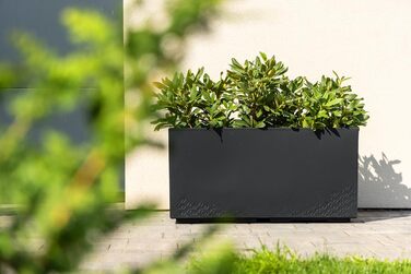 Квітковий горщик Ondis24, Кашпо під бетон Caro, XXL Кашпо на колесах Виготовлено зі 100 переробленого пластику, Велике вуличне кашпо (Антрацит, 80 см) Антрацит 80 см