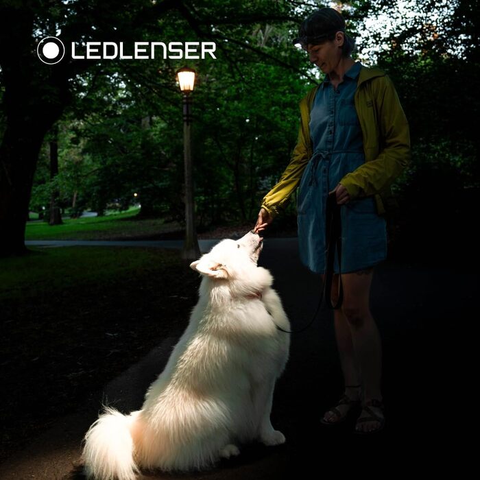 Акумуляторний світлодіодний налобний ліхтарик Ledlenser HF4R Core Світлодіодний налобний ліхтарик 500 люмен Водонепроникний налобний ліхтарик для пригод з червоним світлом Налобний ліхтарик для вулиці Водонепроникний налобний ліхтарик IP68 HF4R Core Black