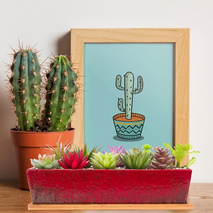 Горщики для сукулентів 12-дюймові кашпо для сукулентів з дренажним лотком, довгі прямокутні керамічні горщики для кактусів/сукулентів, неглибокий віконний ящик для бонсай для дому, саду, декору, червоні/вуличні, однотонні (Getaway Solids)