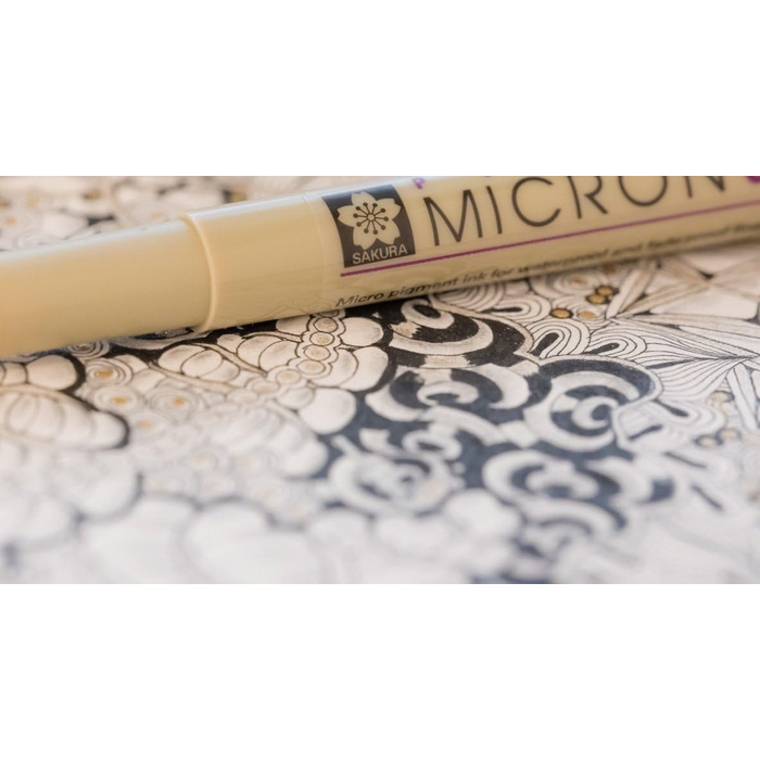 Всі 10 Pigma Micron Fineliner No 003-12, чорні