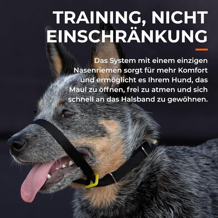 Антитягнучий нашийник-шлейка для собак Мяко та ефективно зупиняє тягу на повідку Допоміжний засіб для спокійних прогулянок Розмір 6, Ліловий. Обхват шиї 48-53 см Розмір 6