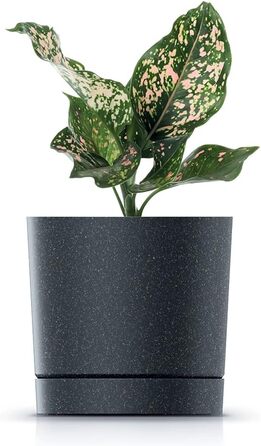 Горщик для квітів Tymar з блюдцем, 2 шт. , декоративний пластиковий горщик для рослин, сучасний, круглої форми, для внутрішнього в