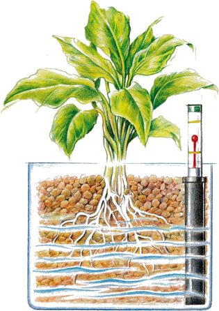 Глиняний гранулят Westland, 5 л рослинний гранулят, ідеальний для гідропоніки, дренажний субстрат без хімічних добавок, для внутрішнього та зовнішнього використання, глина