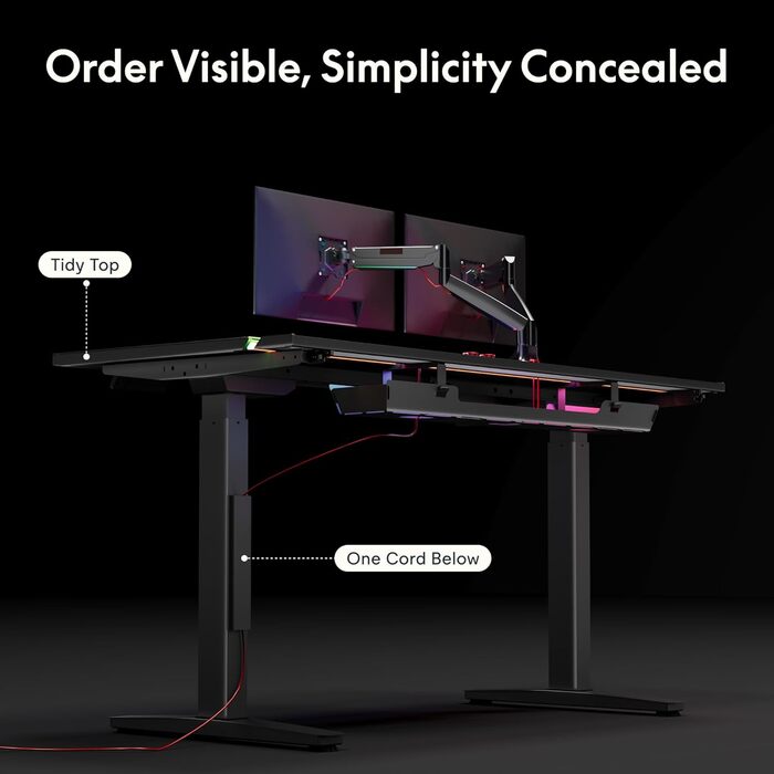 Ігровий стіл FLEXISPOT з електричним регулюванням висоти, світлодіодною стрічкою та системою керування кабелями, подвійним двигуном, 4 слотами пам&39яті, тихим регулюванням висоти підходить для домашнього офісу та ігор, 120 x 70 см, чорний