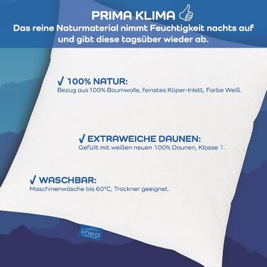 Від Bhmerwald - затишна - високоякісна розкішна подушка, надзвичайно м&39яка, 40x80 см, 100 білий новий пух, підходить для алергіків, можна прати при температурі до 60C, зроблено в Німеччині, 40 x 80 см, надзвичайно м&39яка підтримка та комфорт