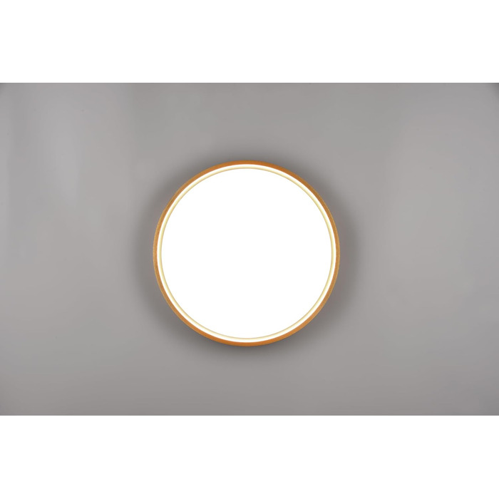 Стельовий LED-світильник Trio Leuchten Doha 641310208, матова латунь, акрил, LED 29 Вт