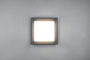 Стельовий світильник Trio Witham 677860142 LED для вулиці, метал антрацит/пластик білий, 10.5 Вт, регульована колірна температура