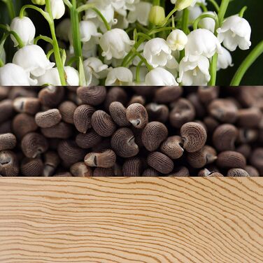 Парфумована вода для неї, деревно-квітковий аромат для жінок 100 мл (1 упаковка)