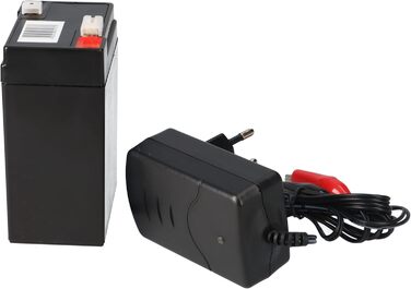 Комплект - свинцево-кислотний акумулятор та зарядний пристрій - зарядний пристрій Q-Batteries 6V 4.5Ah 0.6A