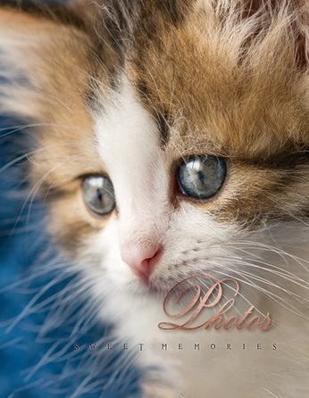 Фотоальбом UFO 10x15x200 PP-46200 Cat photo  (7061949)