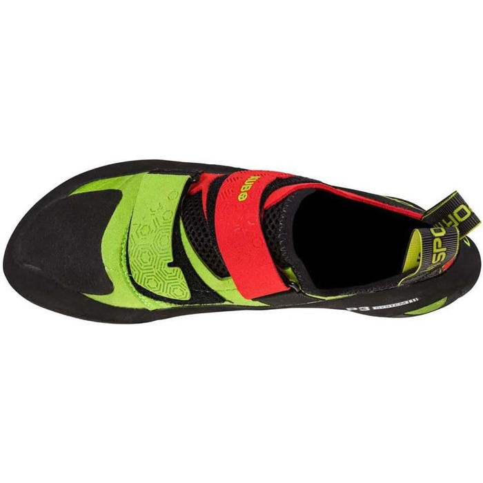 41.5 EU Goji Neon, 41.5 EU Goji Neon