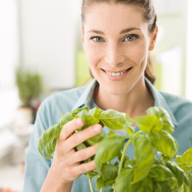 Мішки для рослин GardenMate з нетканого матеріалу об&39ємом 5 x 60 л, Ø45,5 см, висота 40 см - Blackline 5 x 60 літрів (D45,5xH40 см) Blackline