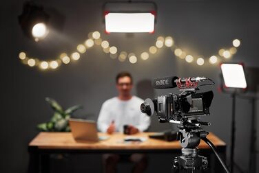 �DE NTG4 Універсальний конденсаторний мікрофон з суперкардіоїдною діаграмою спрямованості, практичними варіантами перемикання і мі