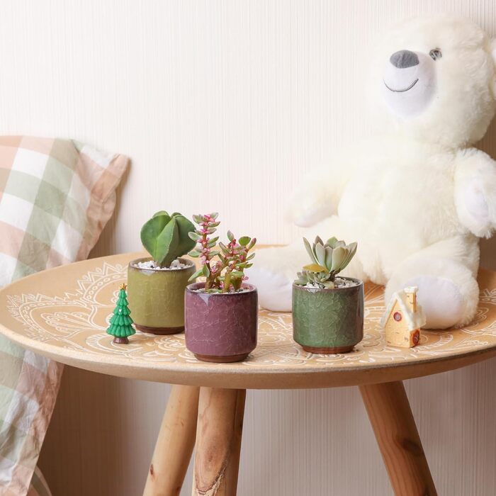 Керамічні горщики для сукулентів Кактус горщики міні квіткові горщики Ice Crack Taller серія 6 кольорів набір з блюдцем, 4U 6,3