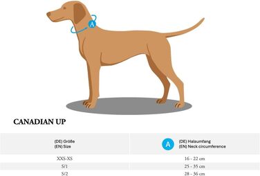 Ошийник для собак HUNTER Canadian UP, колір коньяк, для малих собак та цуценят, мяка та гнучка шкіра, не пошкоджує шерсть, екологічно чистий, виготовлено в Німеччині, розмір S/1 коньяк S/1