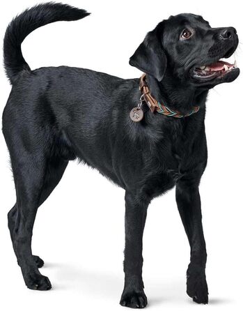 Нашийник для собак HUNTER SOLID Education, колір темно-коричневий/бірюзовий, міцна яловича шкіра, ручне плетіння, виготовлено в Німеччині, розмір 50 темно-коричневий/бірюзовий 50