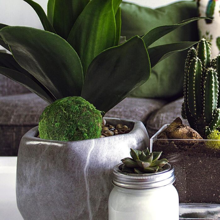 Кульки із сухого моху Камені з штучного моху Кулька з акваріумного моху Зелений мох для виготовлення булочок Зелені кульки з моху Підвісні кульки Кулька Соковитий наповнювач із сухого моху, 6 шт.