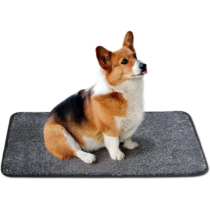 Килимок для дверей COSY HOMEER для приміщень 50 x 80 см, м'який абсорбуючий і брудовідштовхуючий килимок нековзний, низькопрофільн