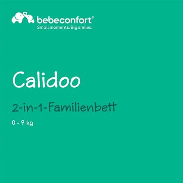 В-1 суміжне спляче ліжко та колиска, 0-6 місяців (0-9 кг), регульоване суміжне спляче ліжко, 5 рівнів висоти, великий м&39який матрац, сітчасті боковини, складні боковини, тонований графіт, 2-