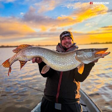 Рибальська котушка Robinson - переднє гальмо, 8 кулькових підшипників, дюралюмінієва шпуля, 5.21 - підходить для лову окуня, форелі, головня, судака, щуки та сома залежно від розміру - Suzuka 3000