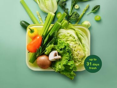 Контейнери для зберігання свіжих продуктів LocknLock Fresh Block з кришками набір із 2 контейнерів для зберігання продуктів, що штабелюються та не містять бісфенолу А можна використовувати в мікрохвильовій печі, морозильній камері та мити в посудомийній м