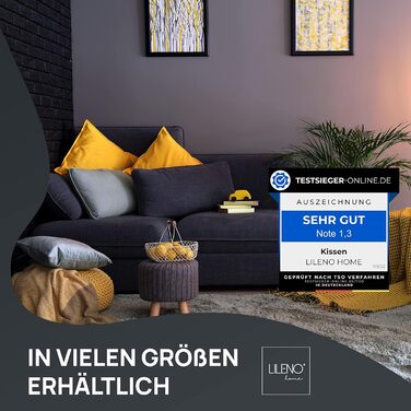 Набір з 2 подушок 40x60 см - внутрішня подушка, яку можна прати при 40C, підходить для алергіків - поліестерова набивка як диванна