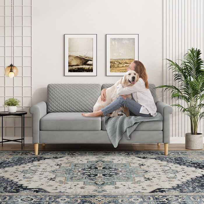 Оксамитовий диван Vesgantti, 2-місний, 164 см диван з кишенями з обох боків, 2-місний диван з 2 подушками та підлокітниками, двомісний диван для вітальні, спальні, офісу, складання без інструментів, 164Д*76Г*85В см, оксамит, сріблясто-сірий