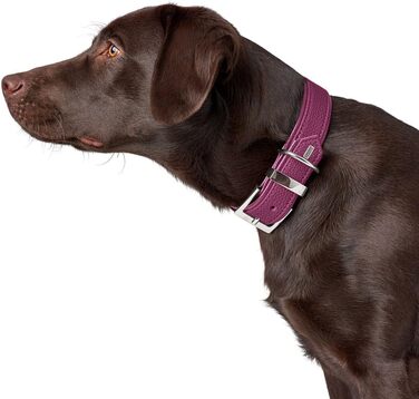 Ошийник для собак HUNTER Sofia, колір малиновий, штучна шкіра з виглядом бичачої шкіри, простий у догляді, яскравий колір, м'яко підбитий, стійкий до розривів, виготовлений у Німеччині, розмір 45 см