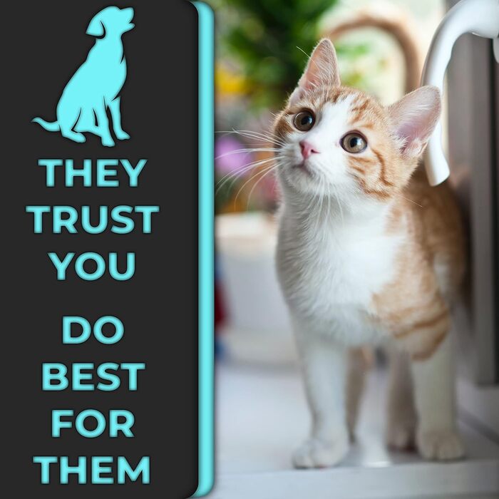 Кусачки для котячих кігтів H&H Pets, гострі як бритва леза з нержавіючої сталі, міцні нековзні ручки, аксесуари для котів та дрібних тварин, професійний грумінг вдома