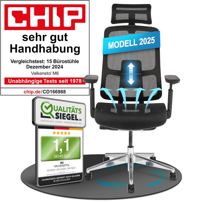 Ергономічне офісне крісло M6, переможець тестів, підходить для зросту до 1,95 м, офісне крісло з сітчастим сидінням, офісне крісло з адаптивною поперековою опорою та регульованою спинкою для здорового сидіння, крісло керівника M6 із сітчастим сидінням (чо