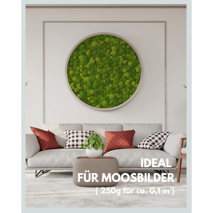 Шаровий мох зберігся Справжній мох для малюнків моху Міцний мох для рукоділля Водостійкий натуральний зелений ісландський мох (250г)