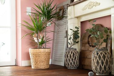 Декоративний квітковий горщик круглий, плетений з морської трави з пластиковою вставкою для посадки - горщик для рослин - 34см 1 3