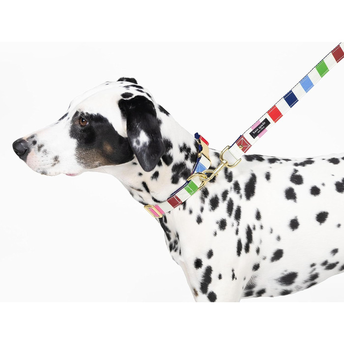 Ошийник для собак Kate Spade New York Adventure Stripe Large, золотиста металева пряжка, регульований розмір 39,4 - 61 см, підходить для собак середнього розміру (унісекс), стильний дизайн.