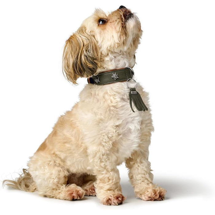 Нашийник для собак HUNTER Мюнхен, колір зелений/коньяк, шкіра, вишукані деталі в традиційному стилі, м'який та міцний, дбайливий до шерсті, розкішний, екологічно чистий, стійкий, виготовлено в Німеччині, розмір 32 зелений/коньяк 32