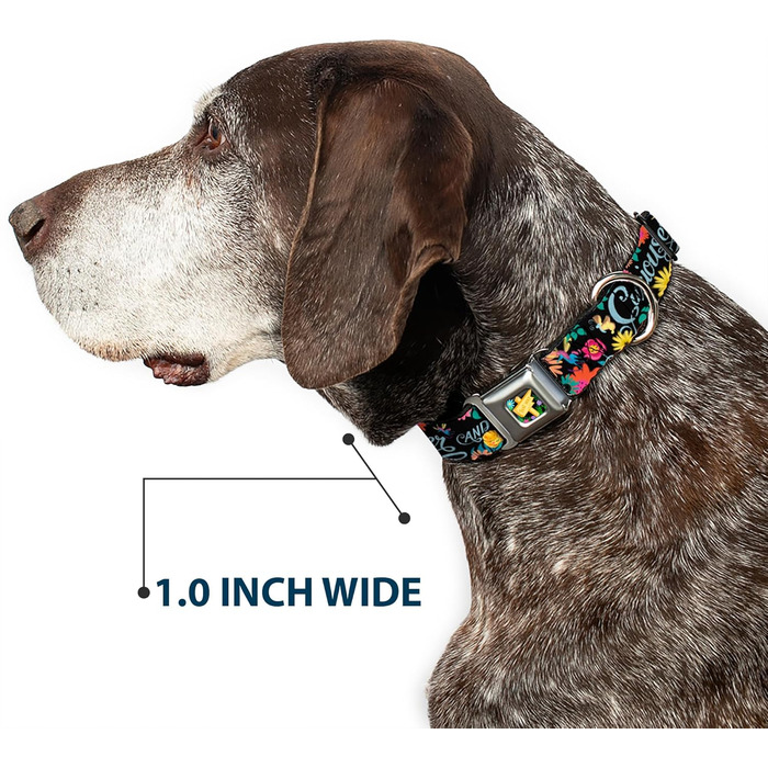 Нашийник Buckle-Down, застібка типу автомобільний ремінь, колекція Квіти Аліси в Країні Див, багатокольоровий, ширина 2,5 см, для обхвату шиї 27,943,2 см, розмір M (DC-WDY300-M). Ширина 2,5 см - підходить для обхвату шиї 27,9-43,2 см - Розмір M. Колекція 