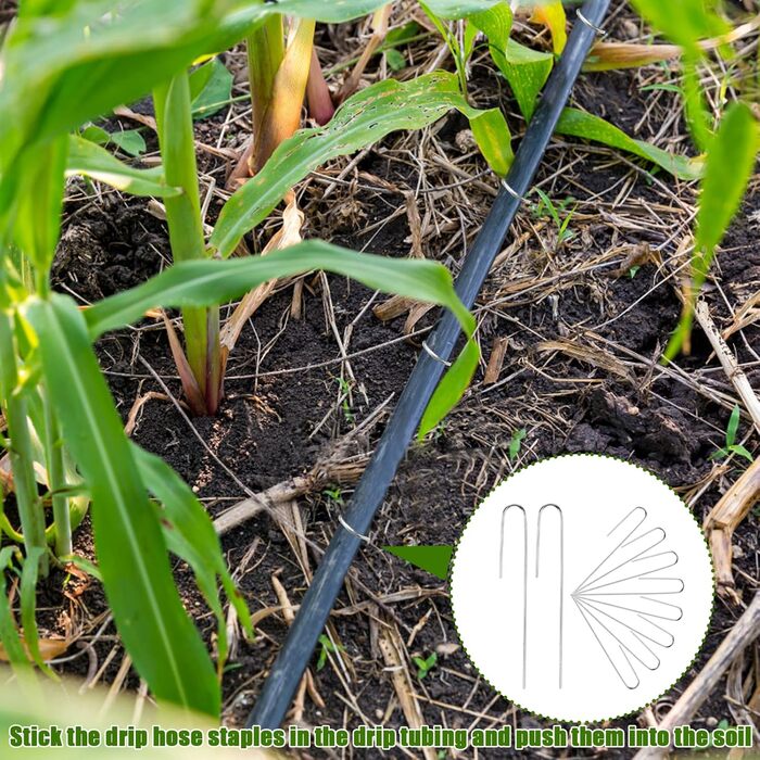 Скоби для крапельного зрошення, садові кілки J-подібної форми, 5-дюймові скоби для ландшафтного дизайну, штифти для крапельного зрошення (призначені для утримання крапельних трубок діаметром до 1/2 дюйма), для утримання крапельних трубок діаметром до 1,27