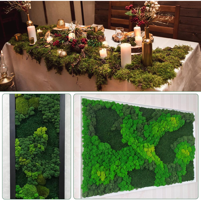 Ісландський мох, консервований мох, декоративний мох для рукоділля, картина з моху, виготовлення моделей, художній мох, натуральний консервований мох у 6 кольорах (240 г), натуральне багаторазове листя моху для декору, виготовлення моделей, прикраса для д