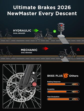 Електровелосипед HITWAY BK6S Plus з акумулятором 48 В 25 Аг та запасом ходу 90-200 км, міський електровелосипед з 20-дюймовими товстими шинами та подвійним кошиком для багажу, двигуном 250 Вт, 25 км/год, 7 швидкостей, чорний