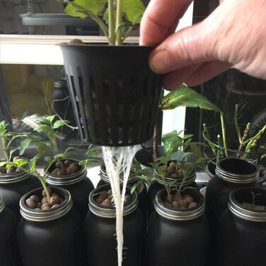 Кошик для посадки водних культур, пластикові гідропонні горщики для рослин, гідропонні кошики з пластику, придатні для гідропонних посадок і безґрунтового вирощування на садових балконах, 20 шт.