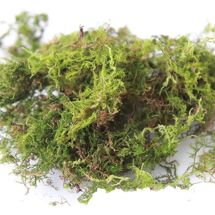 Упаковки Штучний імітаційний мох, зручний і практичний штучний зелений мох Штучний оленячий мох Імітація лишайників Підроблені зелені рослини для рослин Прикраса саду патіо, 2