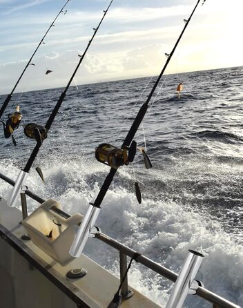 Тримачі для вудок QWORK, 2 шт., поворотні на 360 - нержавіюча сталь 304 - кріпляться до рейок 1925 мм - для риболовлі на човнах та яхтах