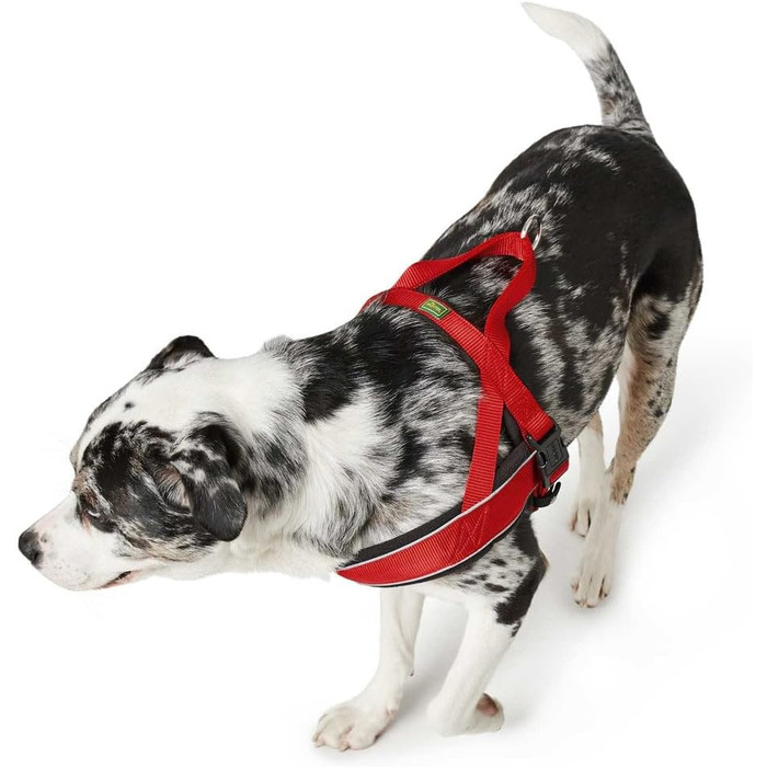 Норвезьке обладнання для їжі Racing, колір коричневий/коньяк, розмір M-L коричневий/коньяк M-L