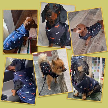 Пальто для собак, зимова куртка для собак, тепле пальто для маленьких собак, вітрозахисний жилет для собак з отвором для шлейки, злегка водонепроникний, різдвяна куртка для чихуахуа та такс, чорна, MM Black