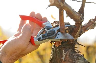 Садові ножиці FELCO 8 зі шкіряною кобурою 910 ергономічний набір для точного зрізання в саду чи винограднику