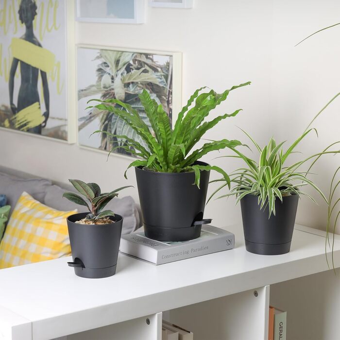 Пластиковий квітковий горщик T4U 16,5 см з системою поливу, набір із 6 самополивних кашпо з блюдцями, круглі кашпо для кімнатних та балконних садових рослин, сукулентів, кактусів, чорний 16,5 см чорний