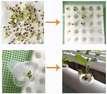 Настінна система гідропонічного вирощування з 36 точками посадки 4-шарова система гідропонічного вирощування Шланги для безґрунтового вирощування з потовщеним зєднаннямВодяний насос (36 точок посадки)