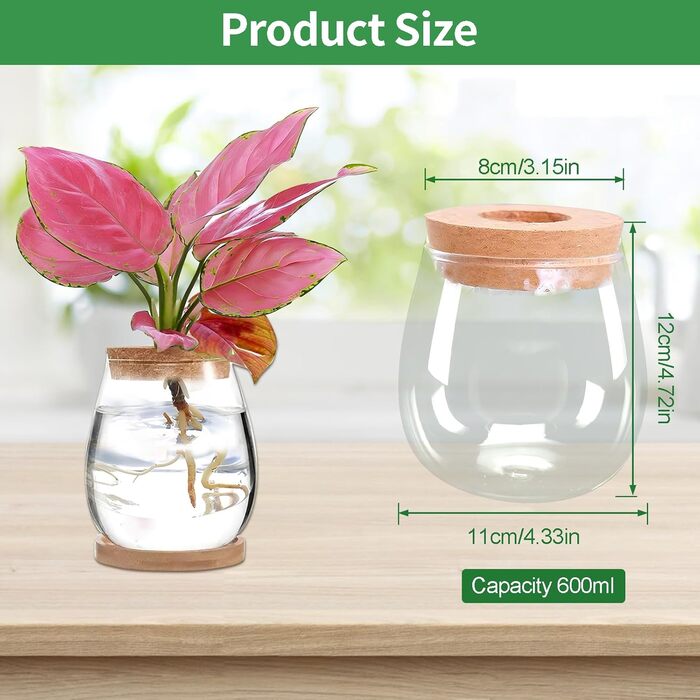 Ваза для закваски насіння авокадо Скляний плантатор Гідропонна скляна ваза для водних рослин або квітів Домашній офіс Оформлення столу 2 шт., 12x11